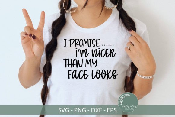 Nicer Than My Face Looks Svg-Funny Svg Graphics and Crafts Review